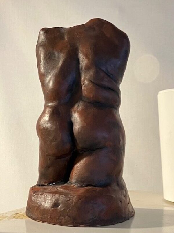 torso torso